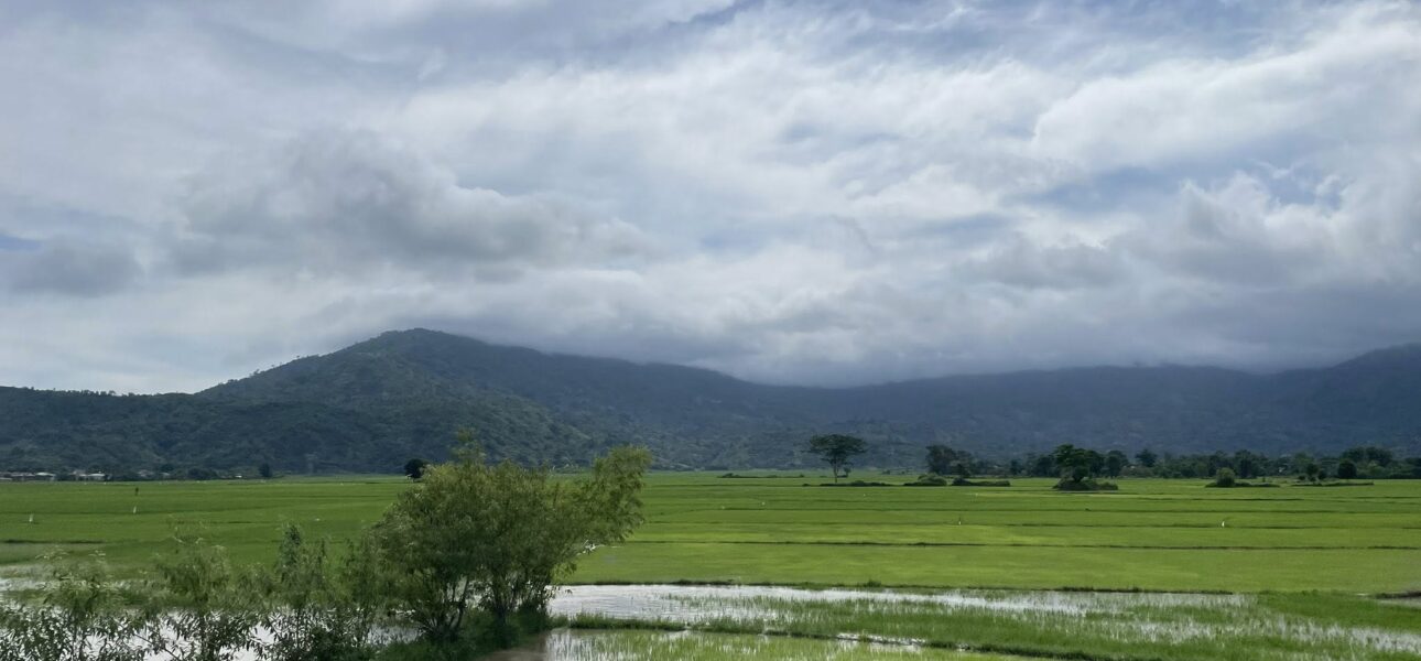 Review địa điểm Hồ Lak mùa Lúa non