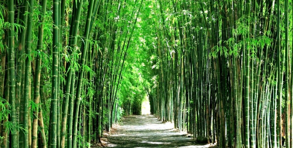 Khu du lịch Kotam, Xã Ea Tu – Khám phá ẩm thực Đak Lak